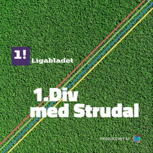 1. Divison med Mark Strudal