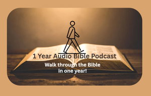 1 Year Audio Bible Podcast