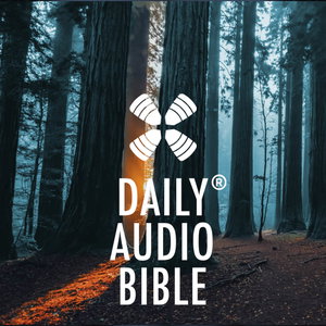 1 Year Daily Audio Bible