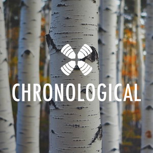 1 Year Daily Audio Bible Chronological