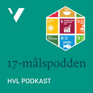 17-målspodden