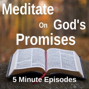 5 Minute Daily Bible Meditation | God's Sanity In A Crazy World