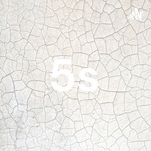 5s