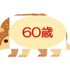 60歳のアルマジロ