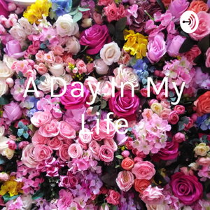 A Day In My Life