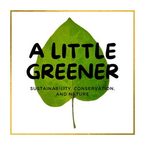 A Little Greener