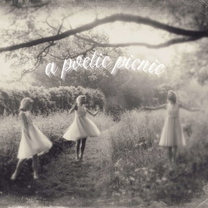 A Poetic Picnic