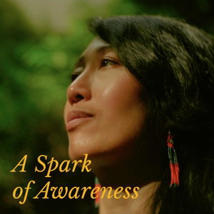 A Spark Of Awareness