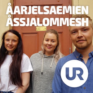 Åarjelsaemien åssjalommesh