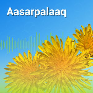 Aasarpalaaq 2026, KNR