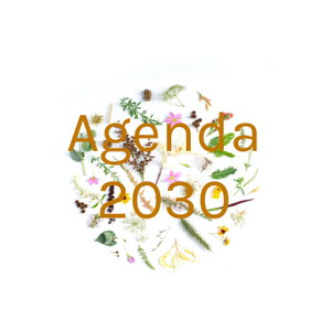 Agenda 2030