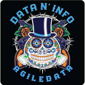 Agile Data N’ Info