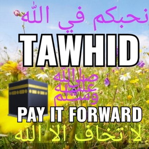 AkhdarQ 