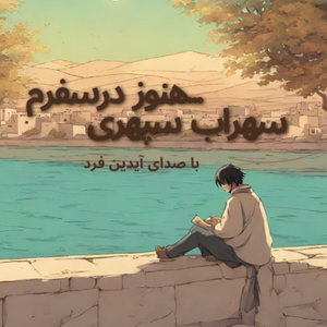 آخرین صفحه از یک رمان/Aidin Fard 