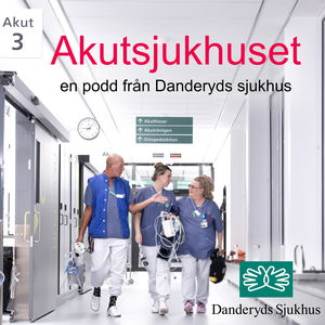 Akutsjukhuset