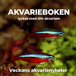 Akvarieboken