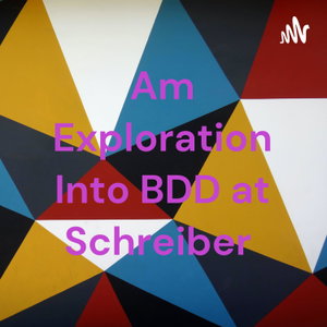 Am Exploration Into BDD at Schreiber 