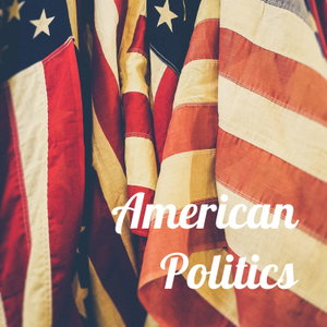 American Politics