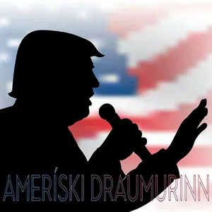 Ameríski draumurinn - staða svartra í Bandaríkjunum og barátta þeirra