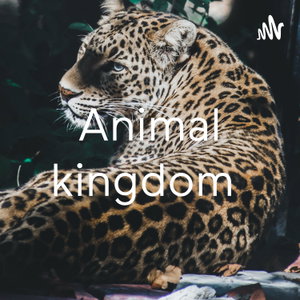 Animal kingdom 