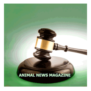 Animal News Magazine