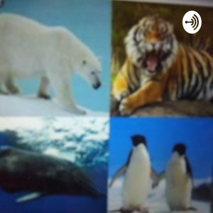 Animales En Peligro De Extinción