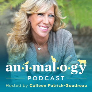 Animalogy: The Animals in Our Everyday Words & Phrases