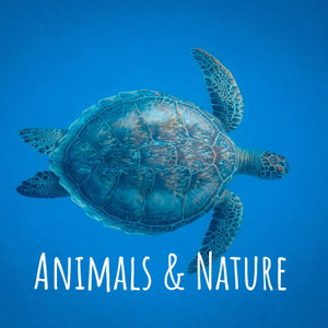 Animals & Nature