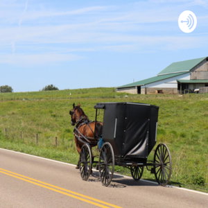 Answers About the Amish 