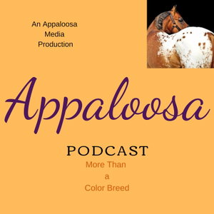 Appaloosa