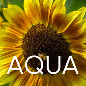AQUA