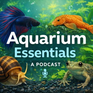 Aquarium Essentials