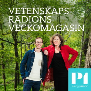 ARKIV: Vetenskapsradions veckomagasin