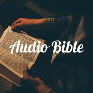 Audio Bible