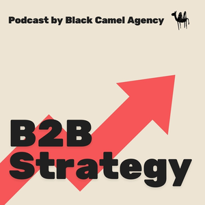 B2B Strategy