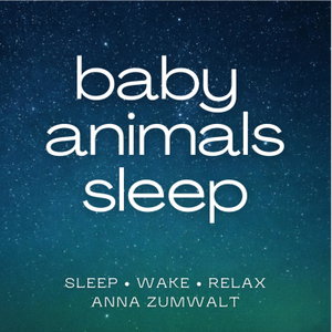 Baby Animals Sleep