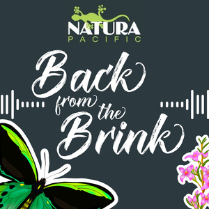 Back from the Brink - The Podcast