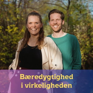 Bæredygtighed i virkeligheden