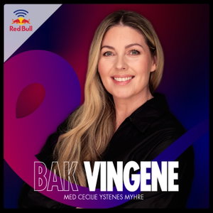 Bak vingene