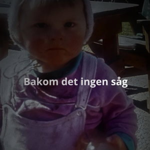 Bakom det ingen såg 