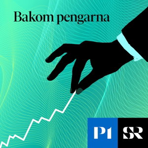 Bakom pengarna