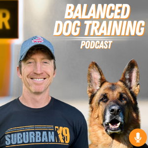 Balanced Dog Training With Suburban K9