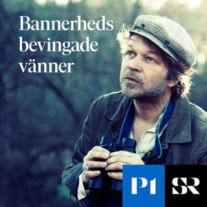 Bannerheds bevingade vänner