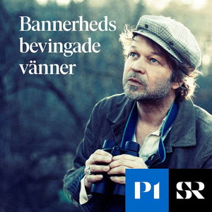 Bannerheds bevingade vänner