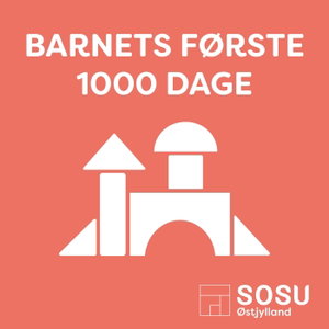 Barnets første 1000 dage