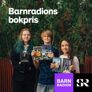Barnradions bokpris