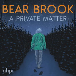 Bear Brook