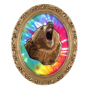 Bear Magic Adventure Society