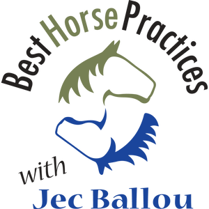 Best Horse Practices Podcast