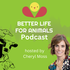 Better Life for Animals